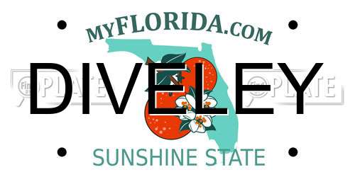 DIVELEY Florida License Plate