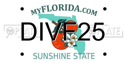 DIVF25 Florida License Plate