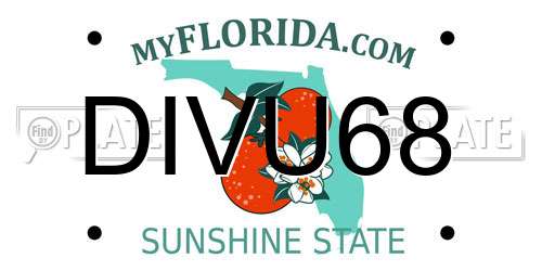 DIVU68 Florida License Plate