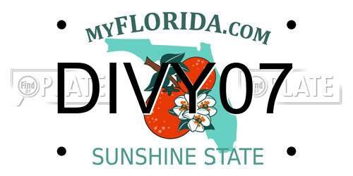 DIVY07 Florida License Plate
