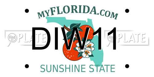 DIW11 Florida License Plate