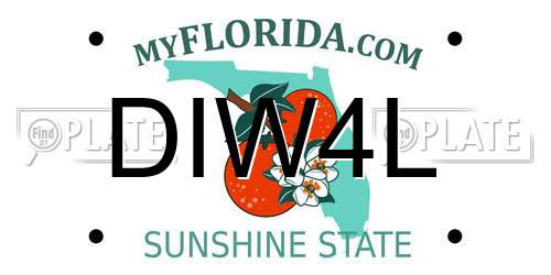 DIW4L Florida License Plate