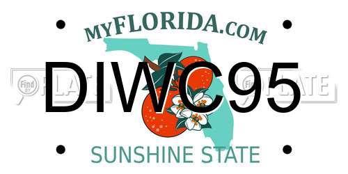 DIWC95 Florida License Plate