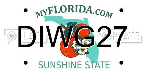 DIWG27 Florida License Plate