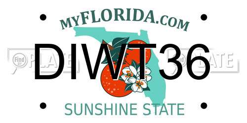 DIWT36 Florida License Plate