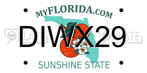 DIWX29 Florida License Plate