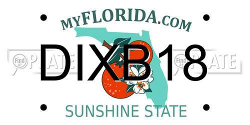 DIXB18 Florida License Plate