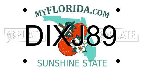DIXJ89 Florida License Plate