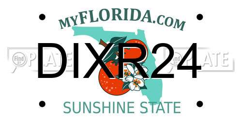 DIXR24 Florida License Plate