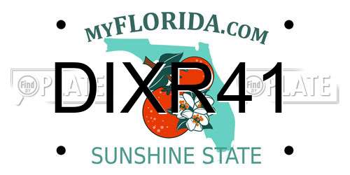 DIXR41 Florida License Plate