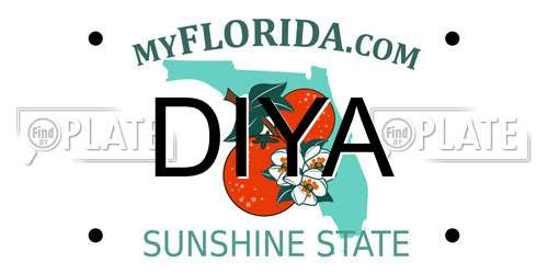 DIYA Florida License Plate