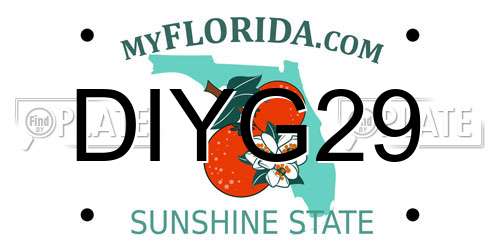 DIYG29 Florida License Plate