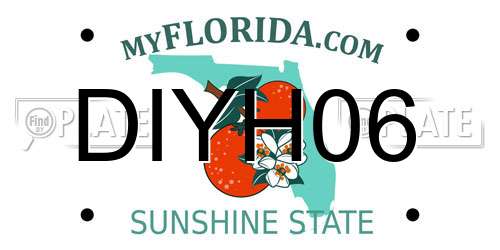 DIYH06 Florida License Plate