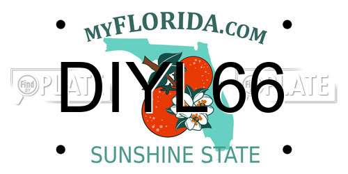 DIYL66 Florida License Plate