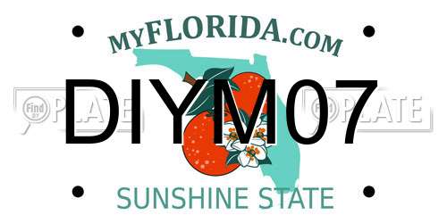 DIYM07 Florida License Plate