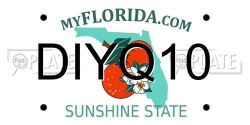 DIYQ10 Florida License Plate