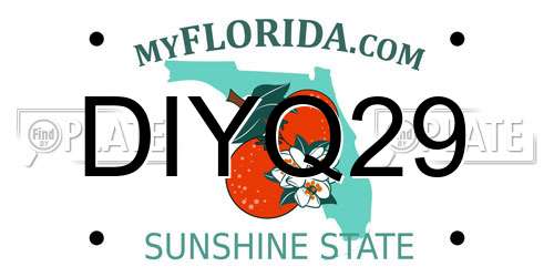 DIYQ29 Florida License Plate