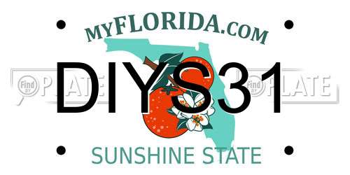 DIYS31 Florida License Plate