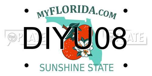 DIYU08 Florida License Plate
