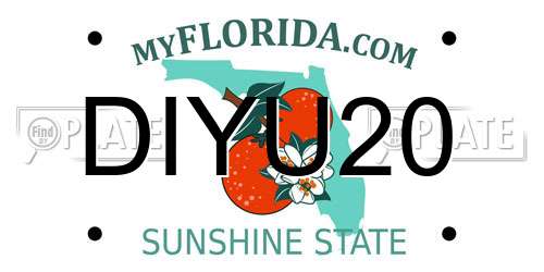 DIYU20 Florida License Plate