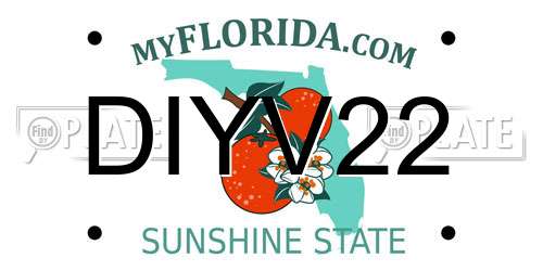 DIYV22 Florida License Plate