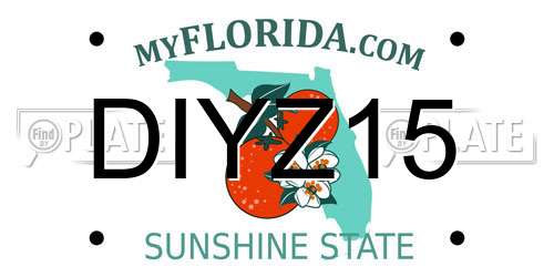 DIYZ15 Florida License Plate