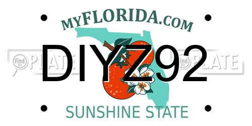 DIYZ92 Florida License Plate