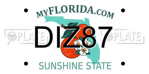 DIZ87 Florida License Plate
