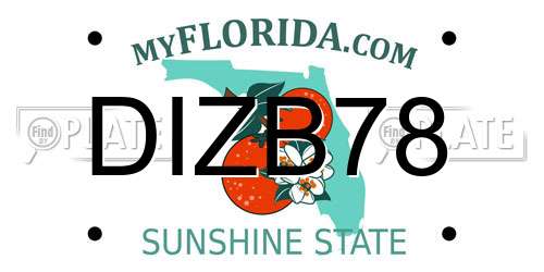 DIZB78 Florida License Plate