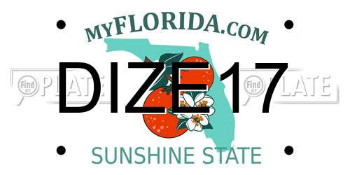 DIZE17 Florida License Plate
