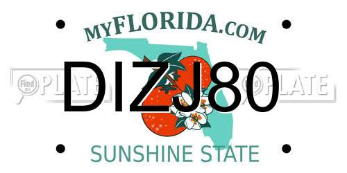 DIZJ80 Florida License Plate