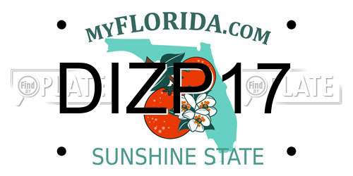 DIZP17 Florida License Plate