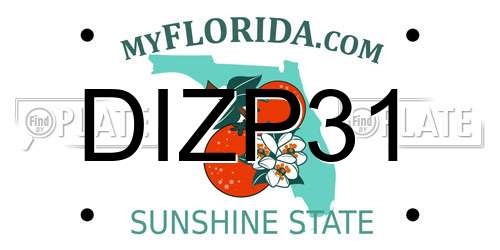 DIZP31 Florida License Plate