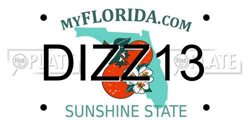 DIZZ13 Florida License Plate
