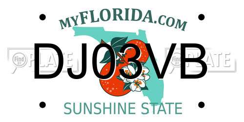 DJ03VB Florida License Plate