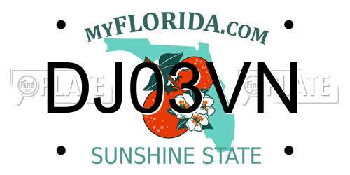 DJ03VN Florida License Plate