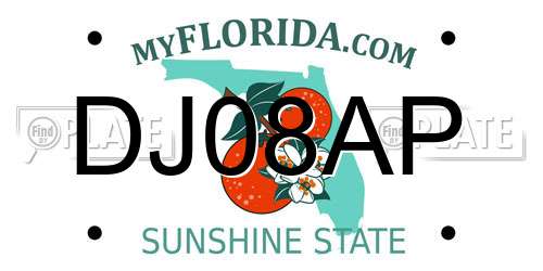 DJ08AP Florida License Plate