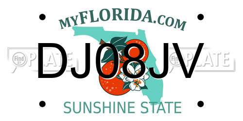 DJ08JV Florida License Plate