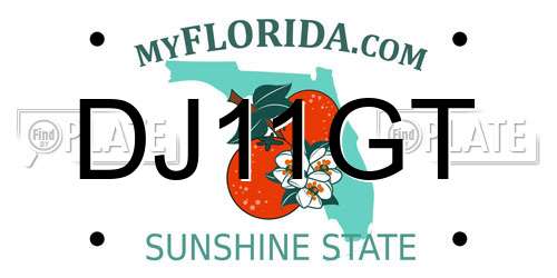 DJ11GT Florida License Plate