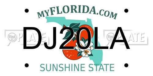 DJ20LA Florida License Plate