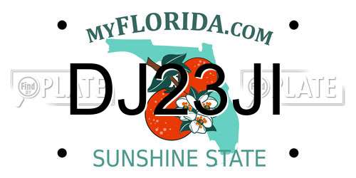 DJ23JI Florida License Plate
