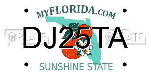 DJ25TA Florida License Plate