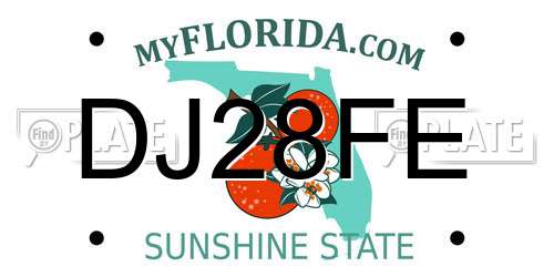DJ28FE Florida License Plate