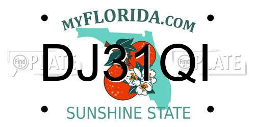 DJ31QI Florida License Plate