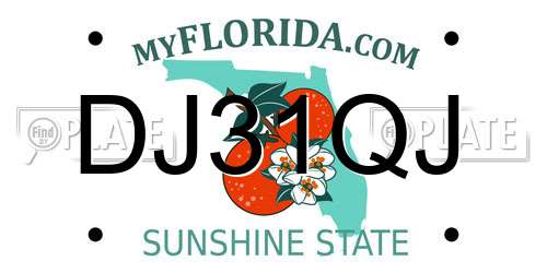 DJ31QJ Florida License Plate