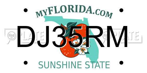 DJ35RM Florida License Plate
