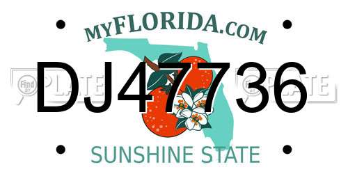 DJ47736 Florida License Plate