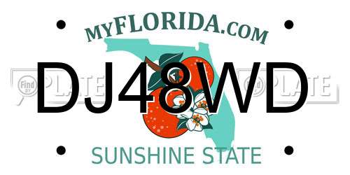DJ48WD Florida License Plate