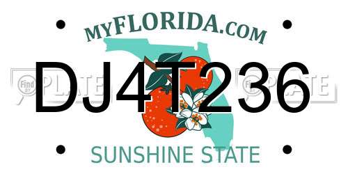 DJ4T236 Florida License Plate