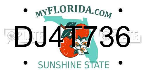 DJ4T736 Florida License Plate